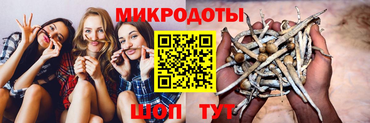 Коркино  Псилоцибиновые грибы MAGIC MUSHROOMS  Вход с VPN 