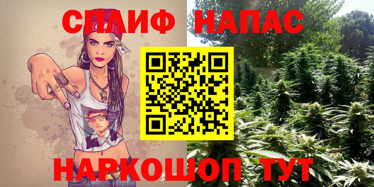 Марихуана сатива Коркино